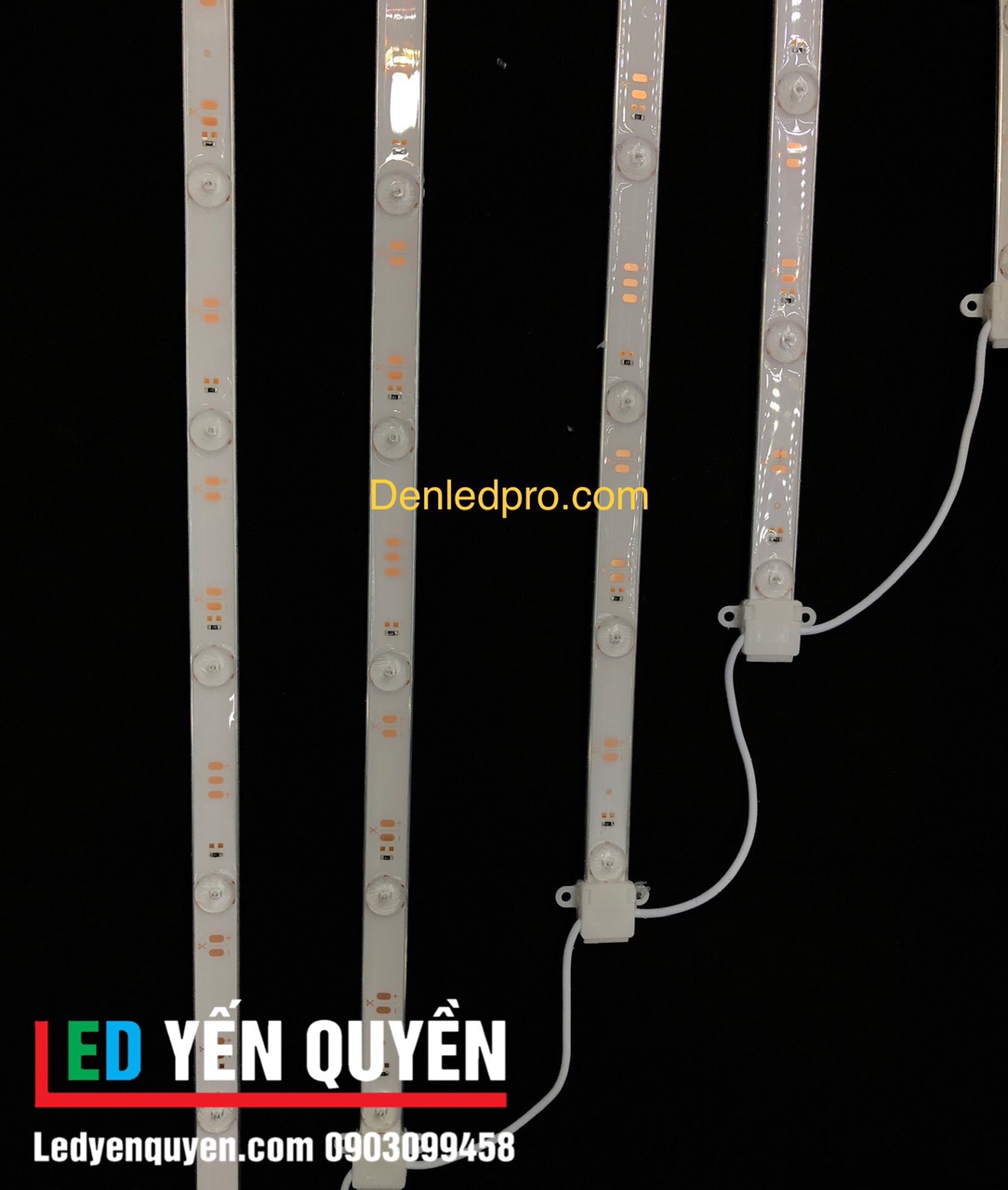 Led mành 12v chống nước màu trắng