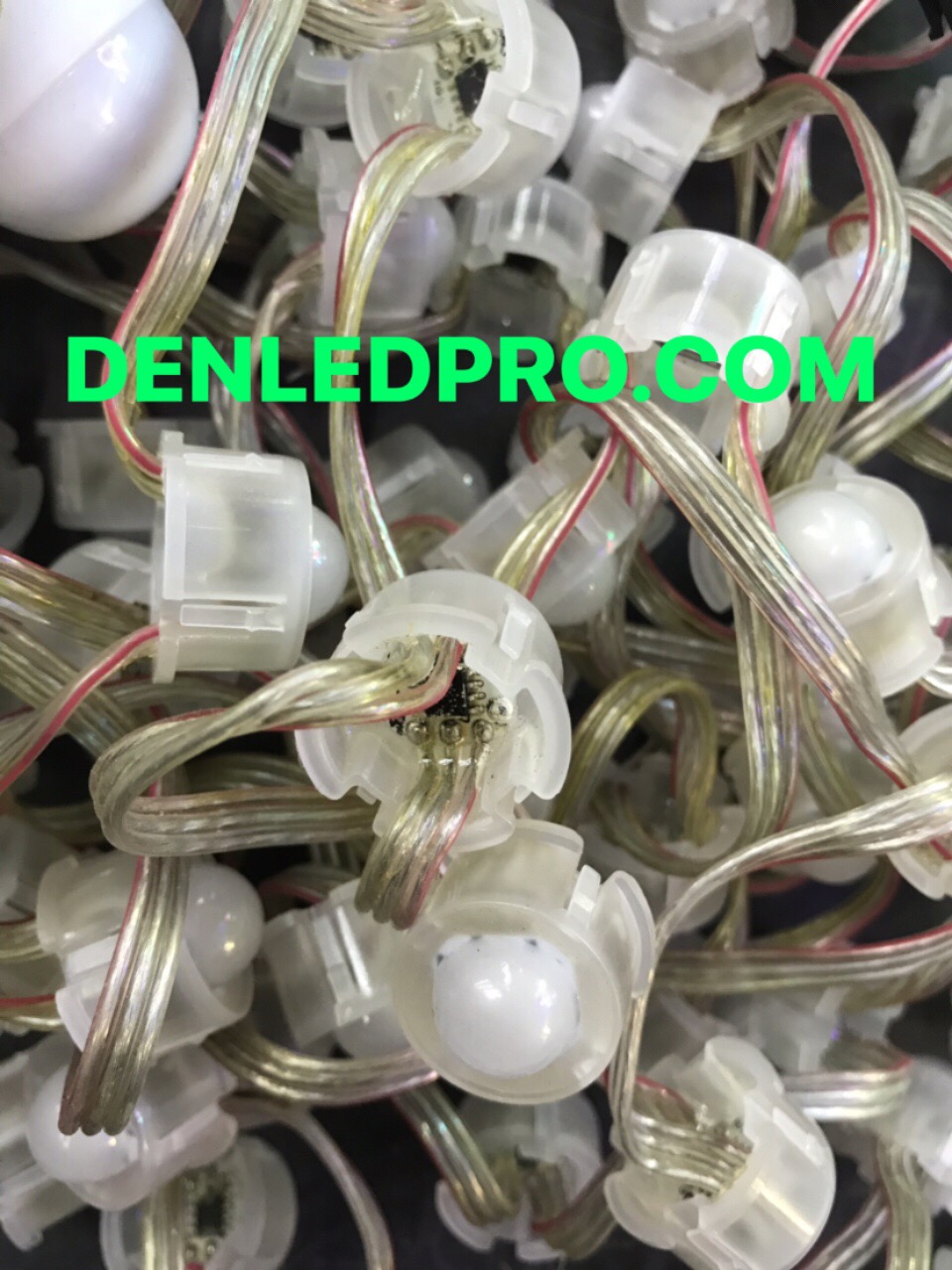 bat-2p-fulll-mau-trong-16703