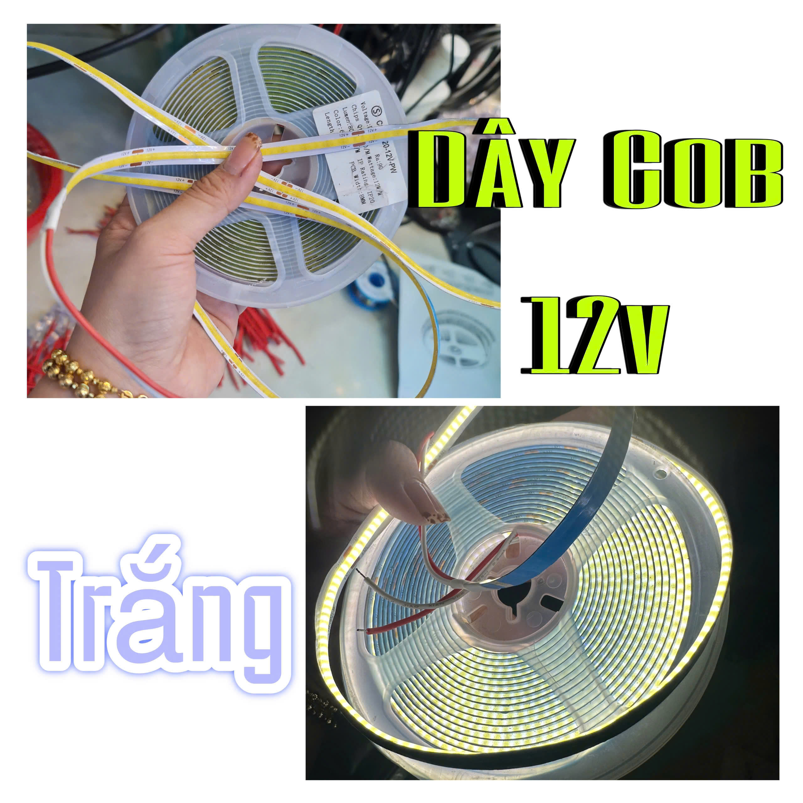 DÂY COB 12V TRẮNG DÂY COB 12V TRẮNG