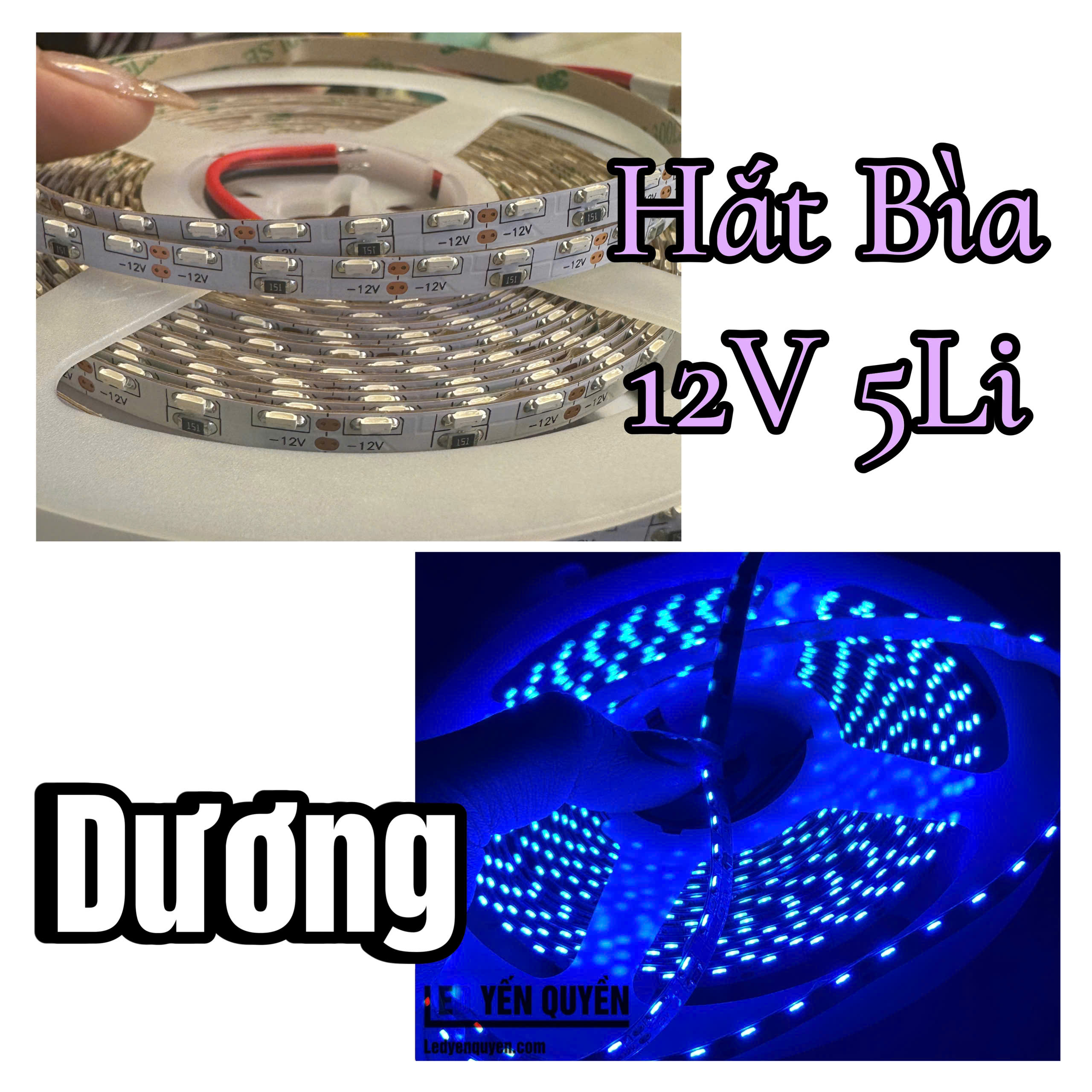 DÂY HẮT BÌA 12V XANH DÆ¯Æ NG DÂY HẮT BÌA 12V XANH DÆ¯Æ NG